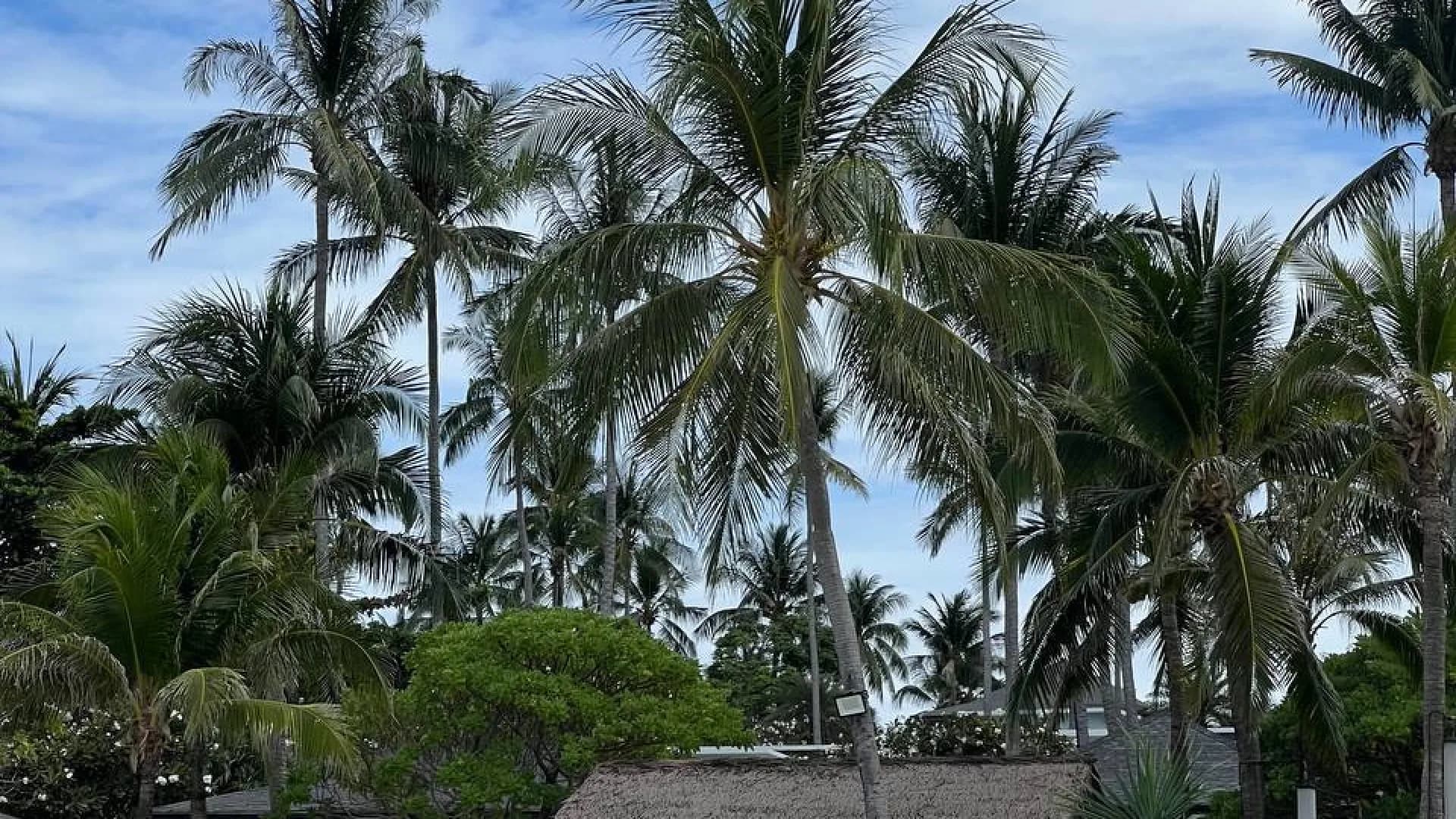 Изображение услуги6