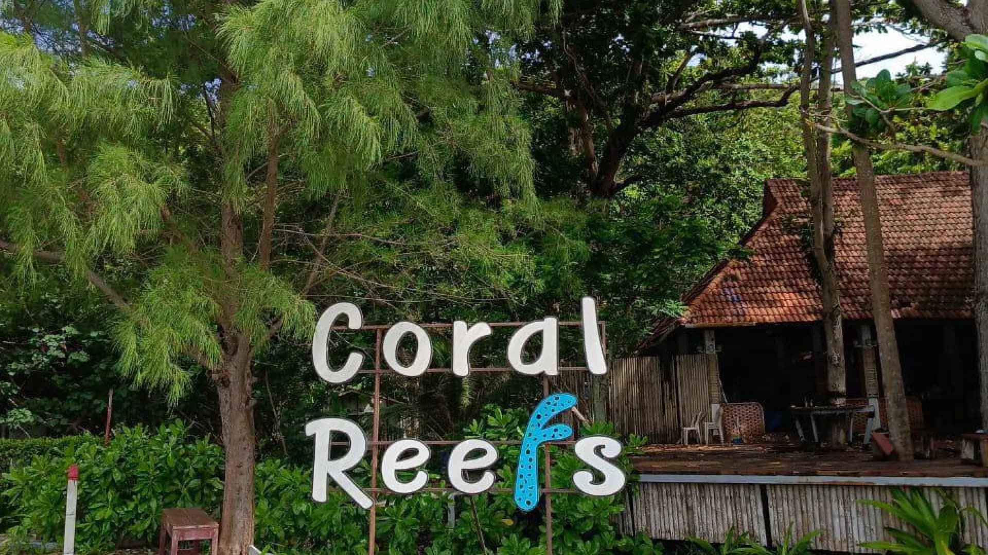 Изображение услуги1