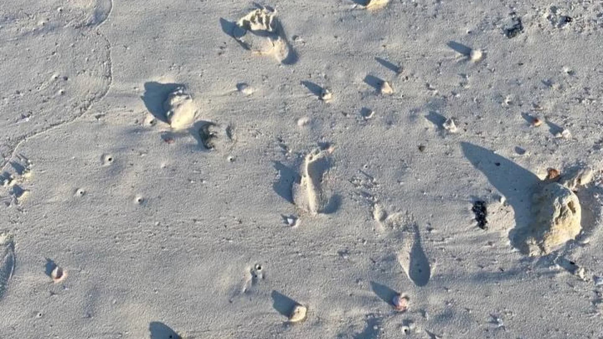 Изображение услуги1