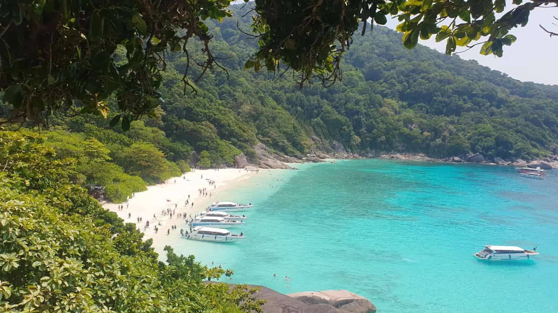 Изображение услуги1