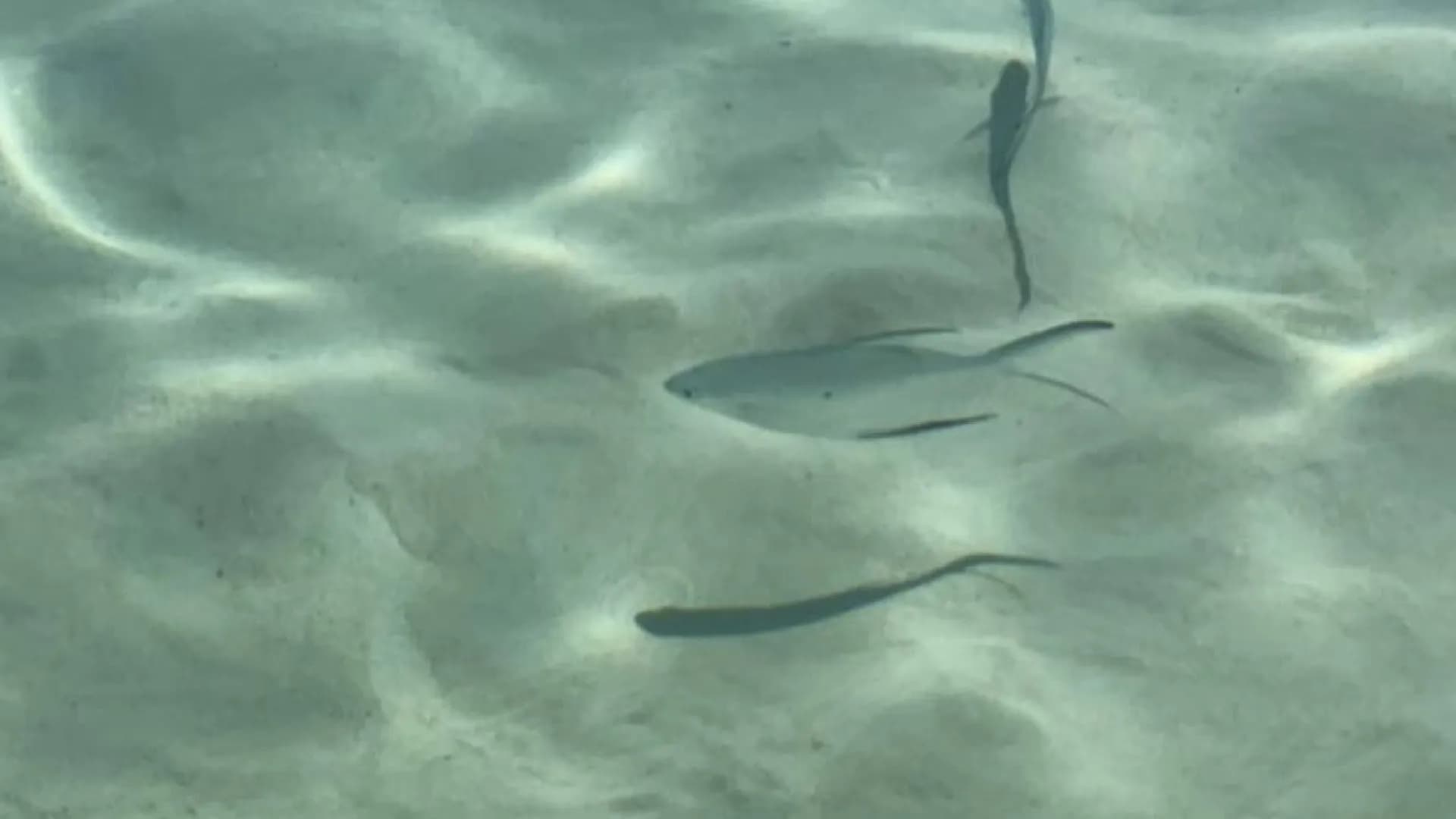 Изображение услуги4