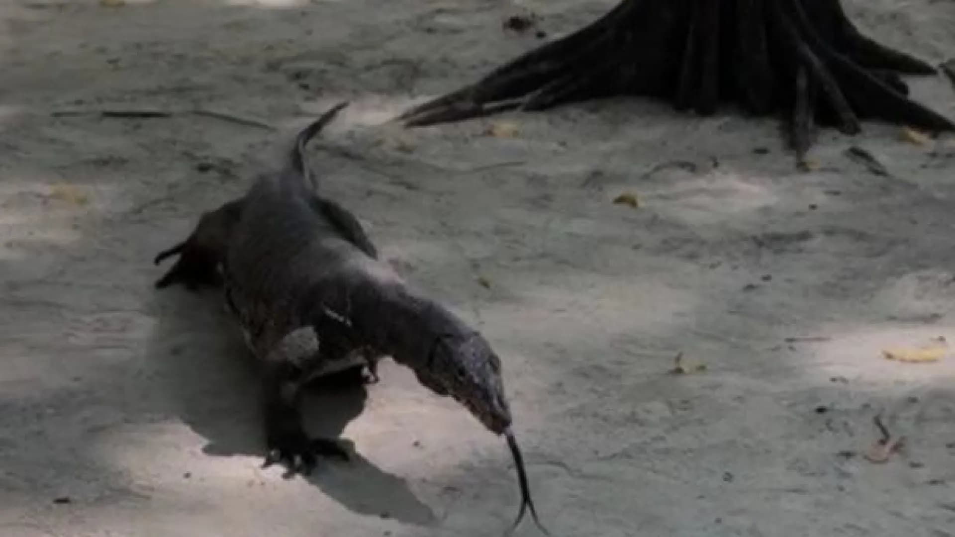 Изображение услуги5