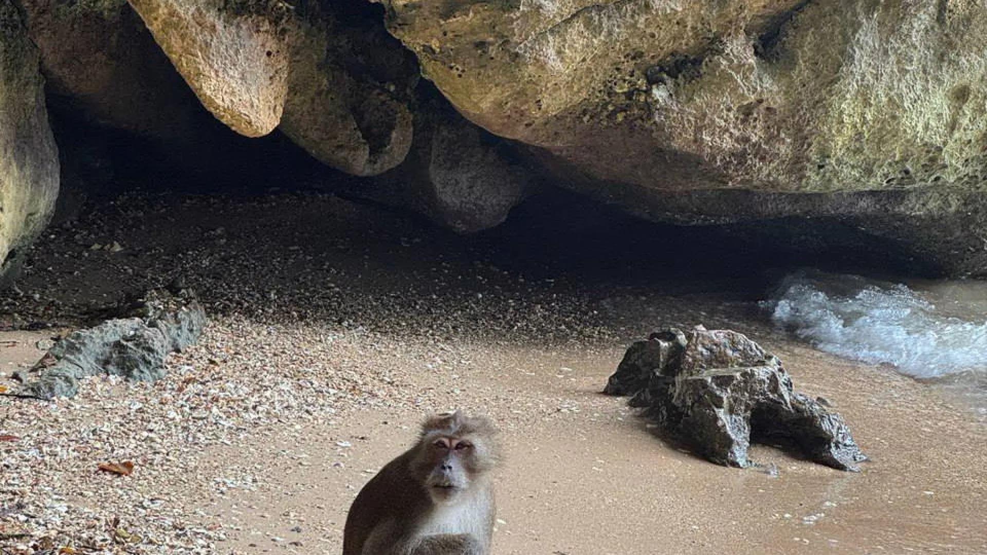 Изображение услуги4