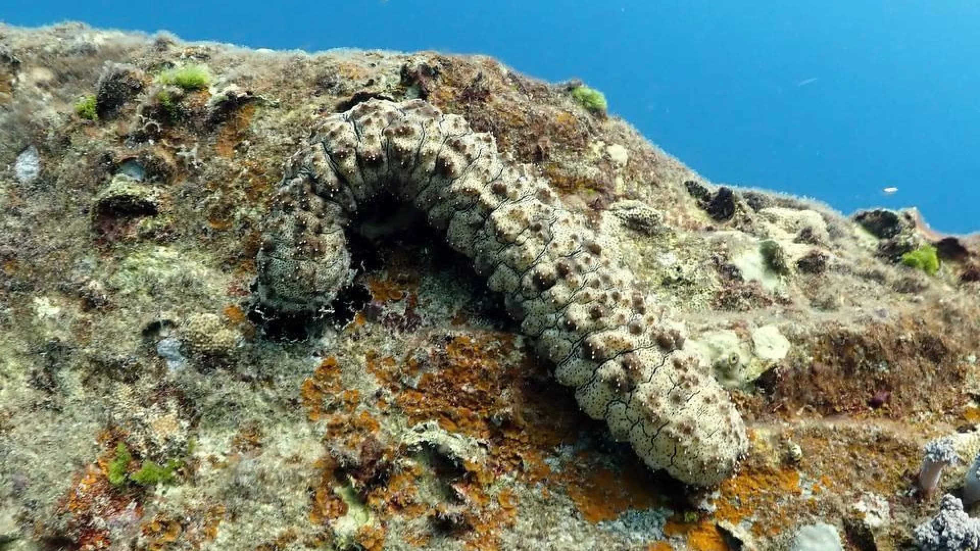 Изображение услуги7