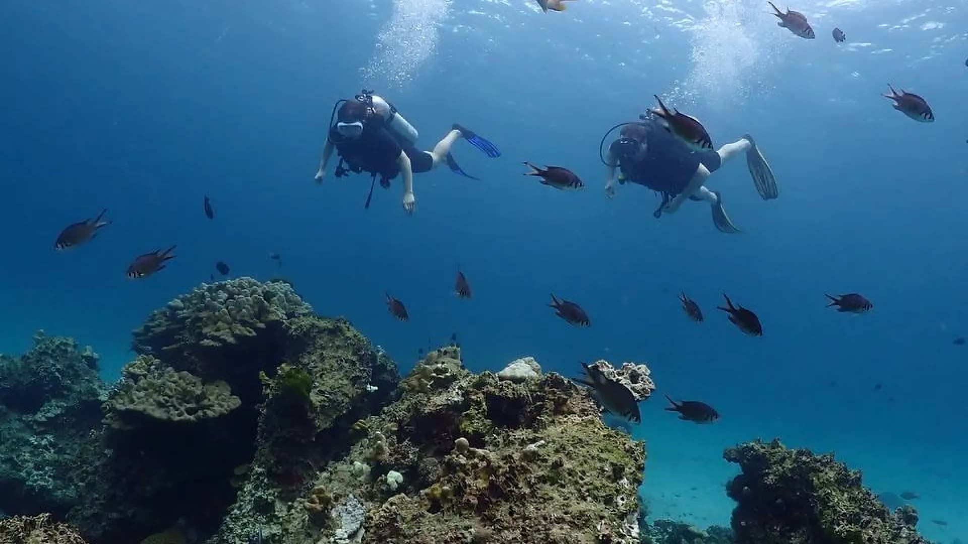 Изображение услуги2