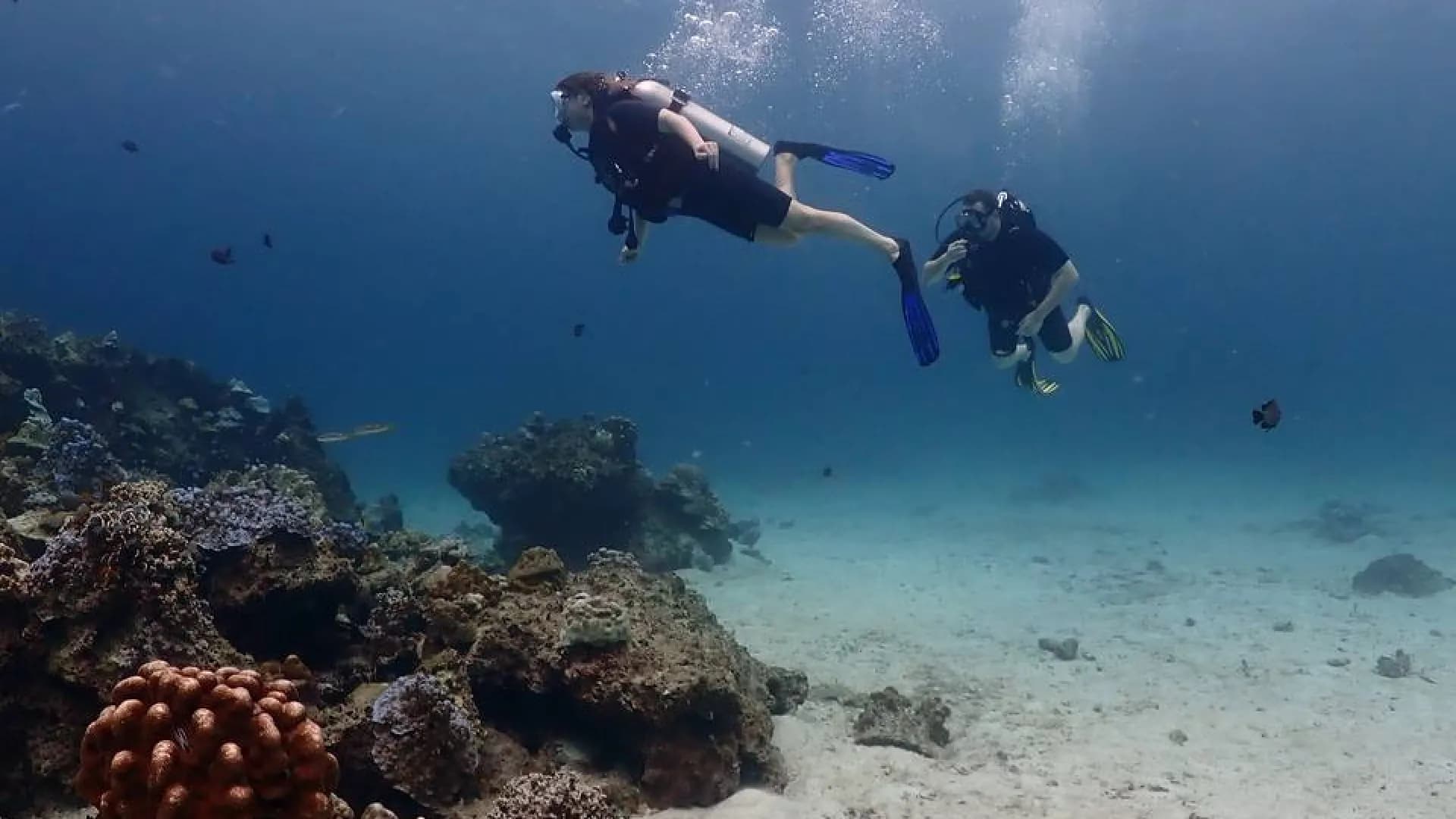 Изображение услуги3