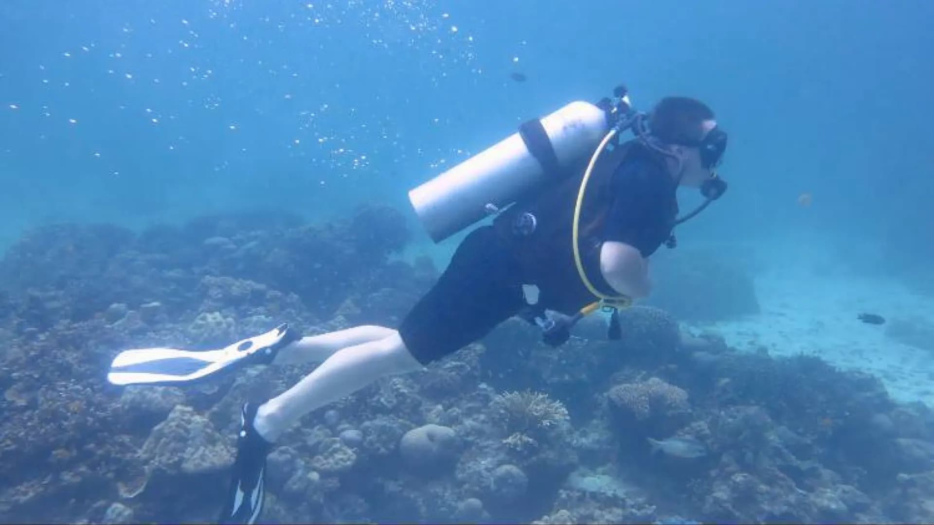 Изображение услуги5