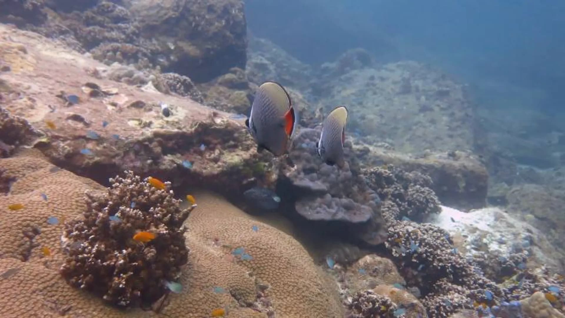 Изображение услуги6