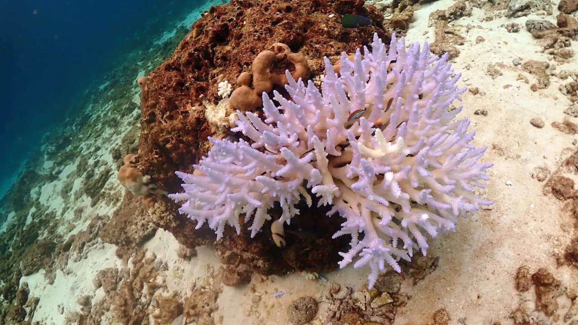 Изображение услуги10