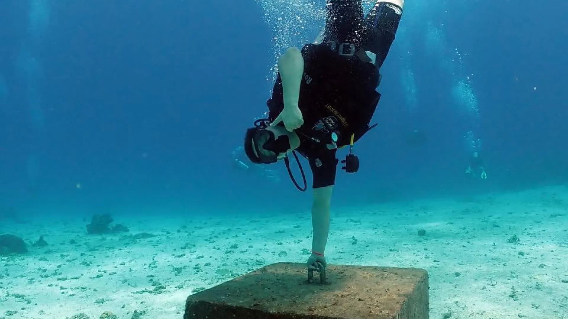 Изображение услуги4