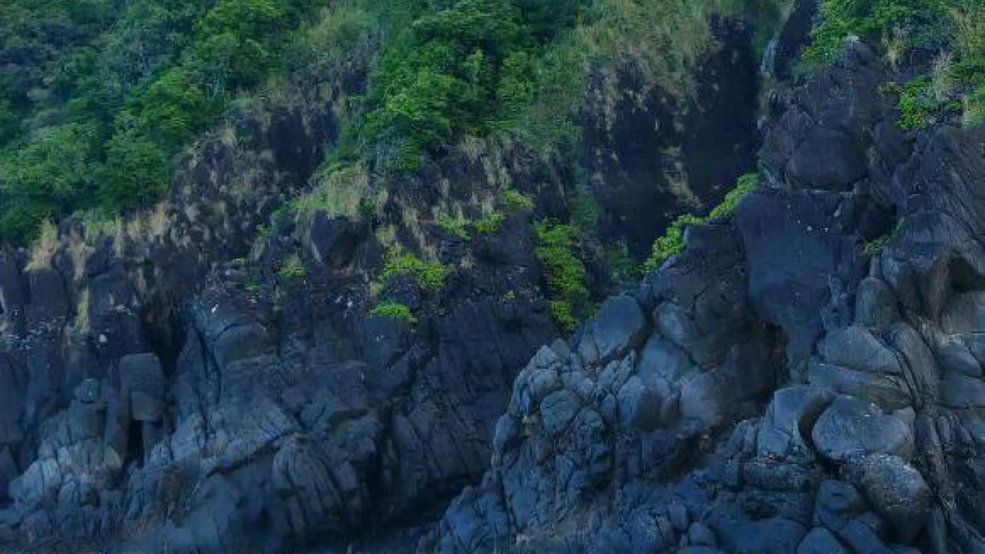 Изображение услуги4