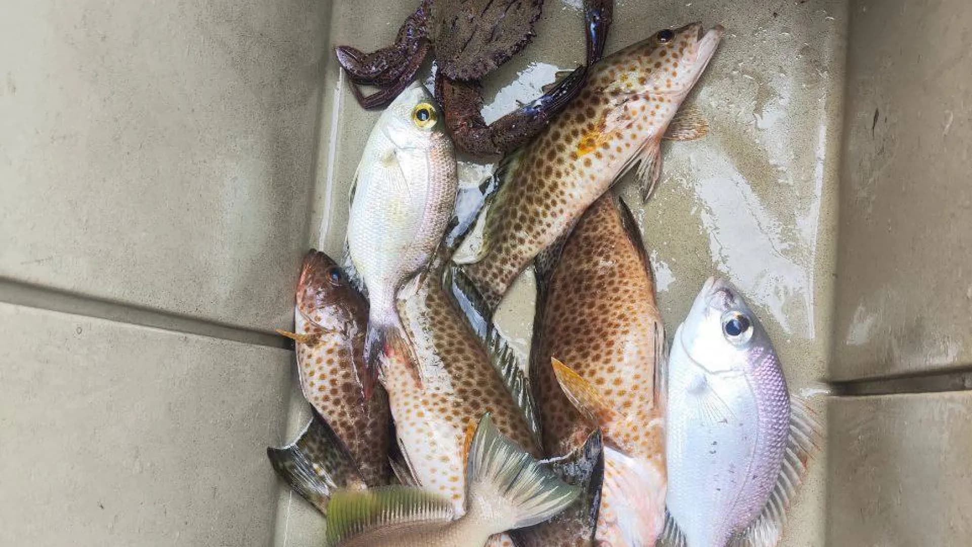 Изображение услуги8