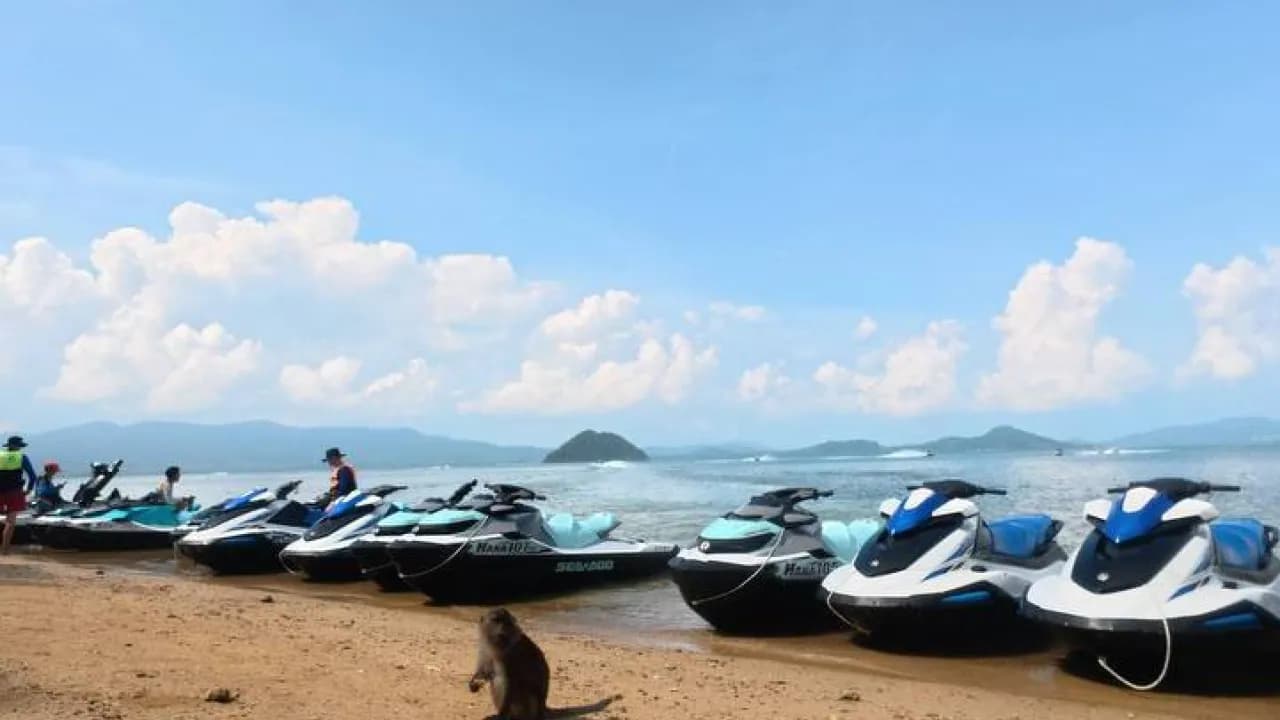 Изображение услуги1