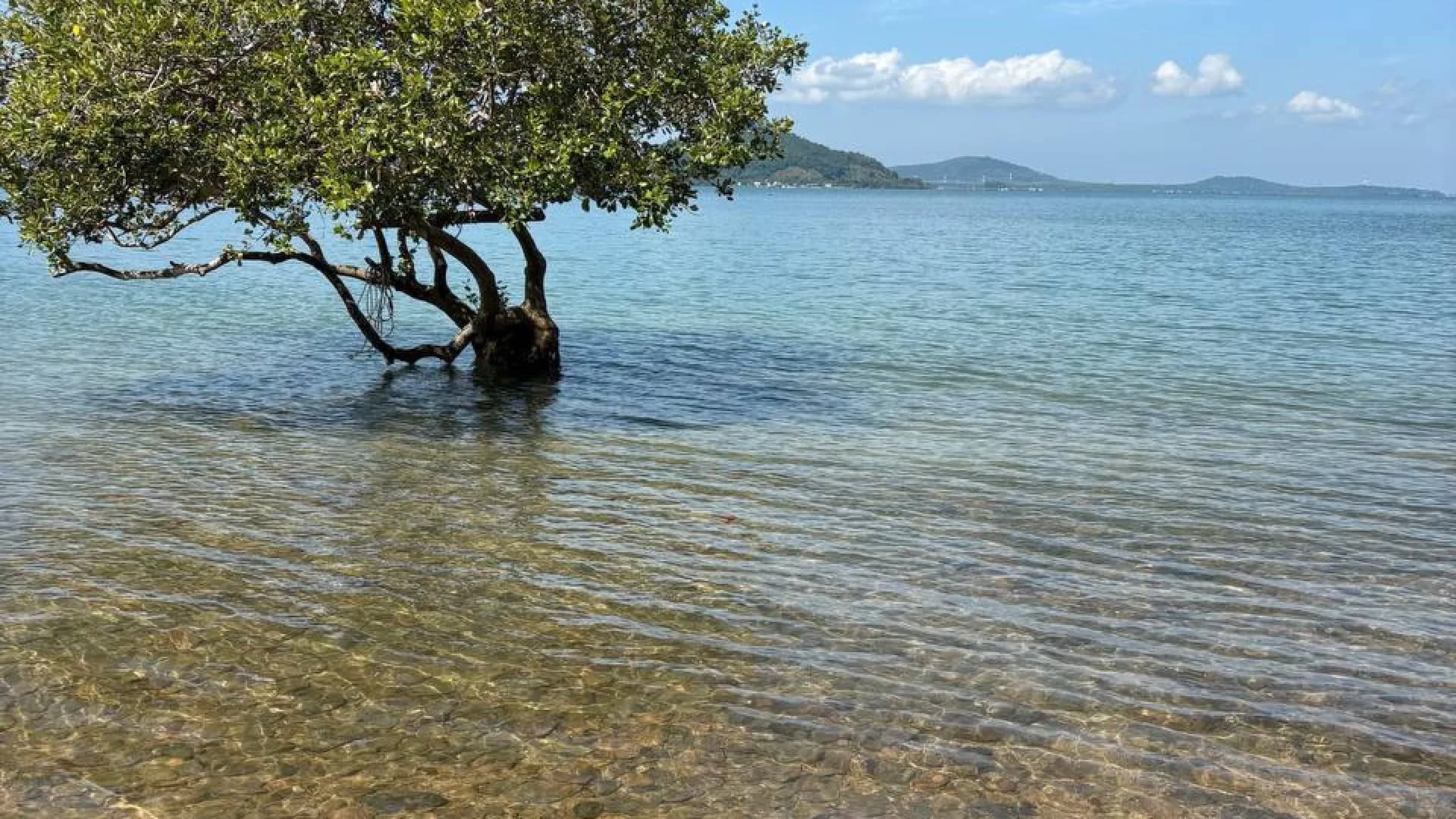 Изображение услуги2