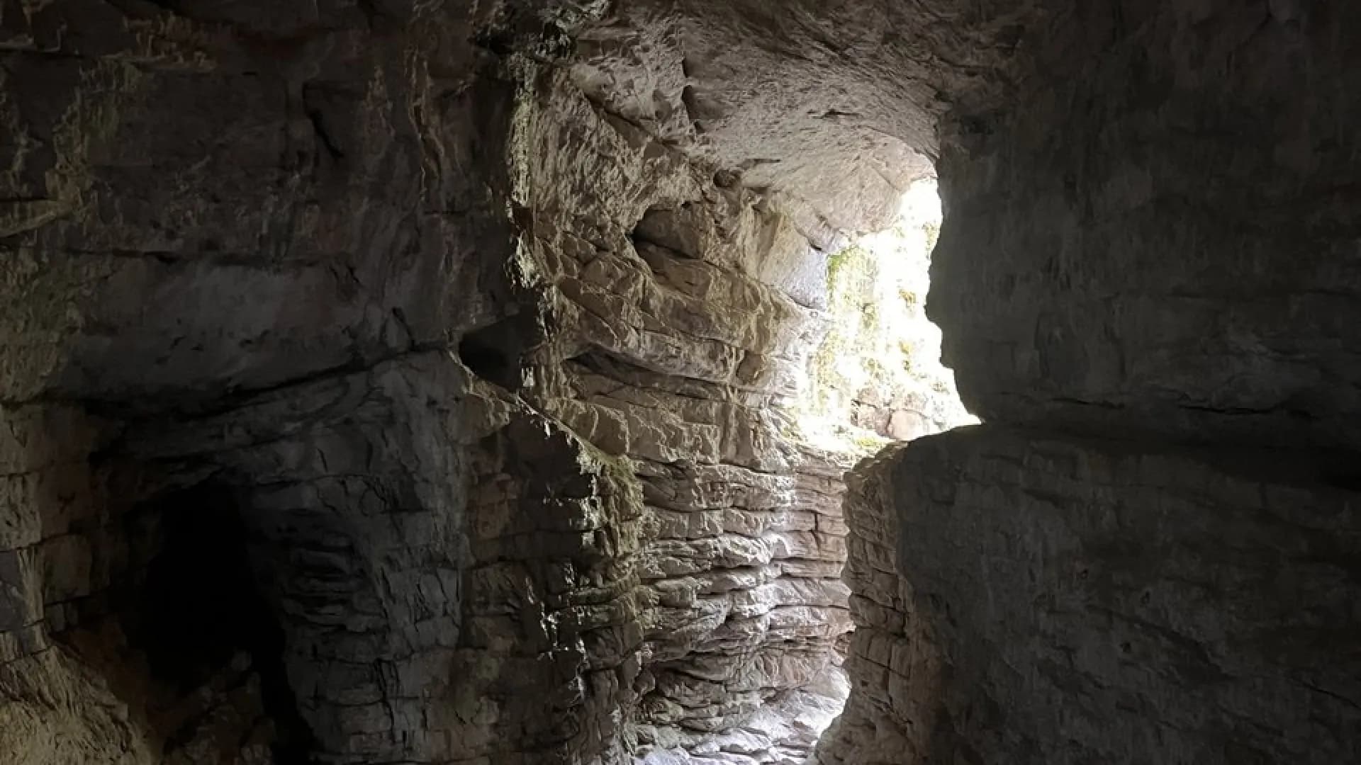 Изображение услуги3