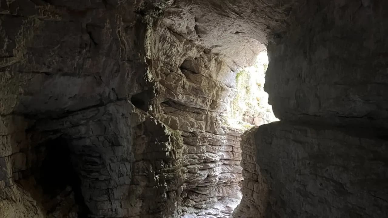 Изображение услуги3