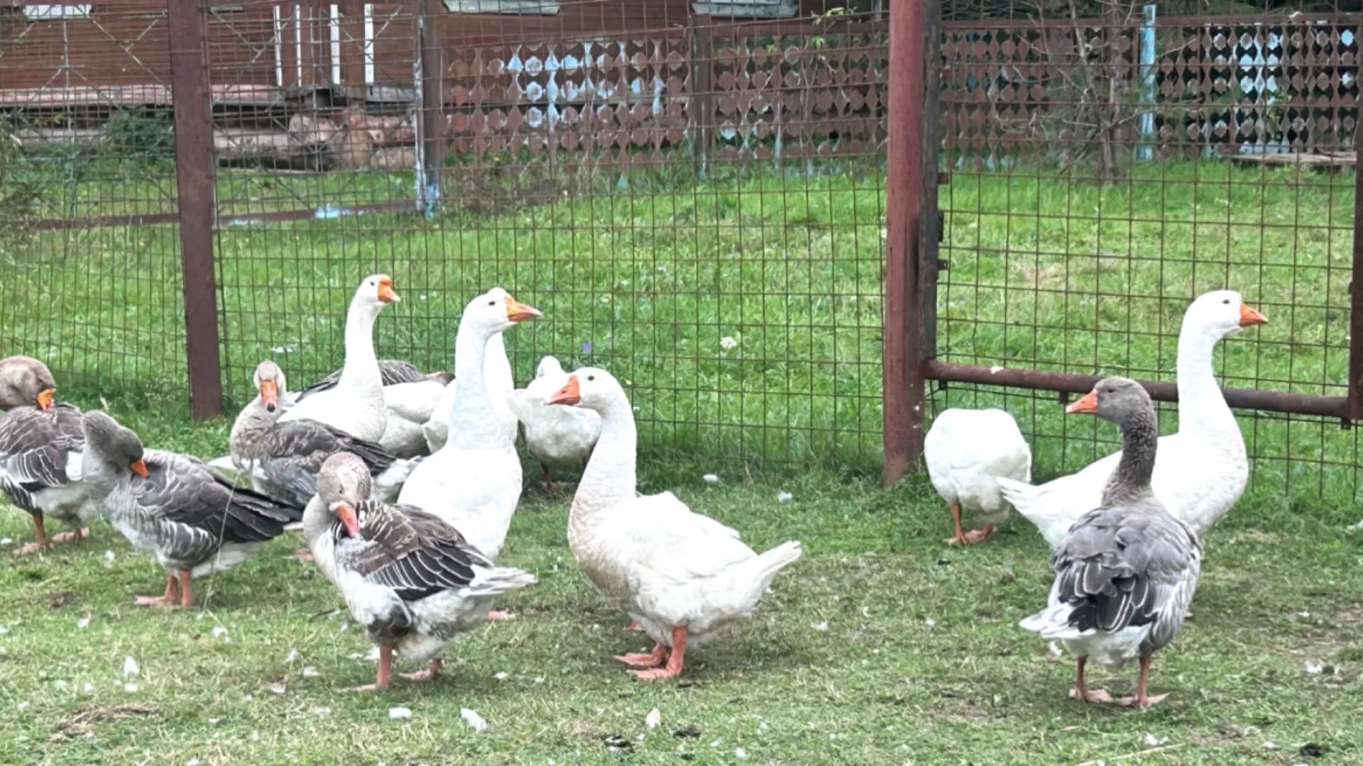 Изображение услуги4