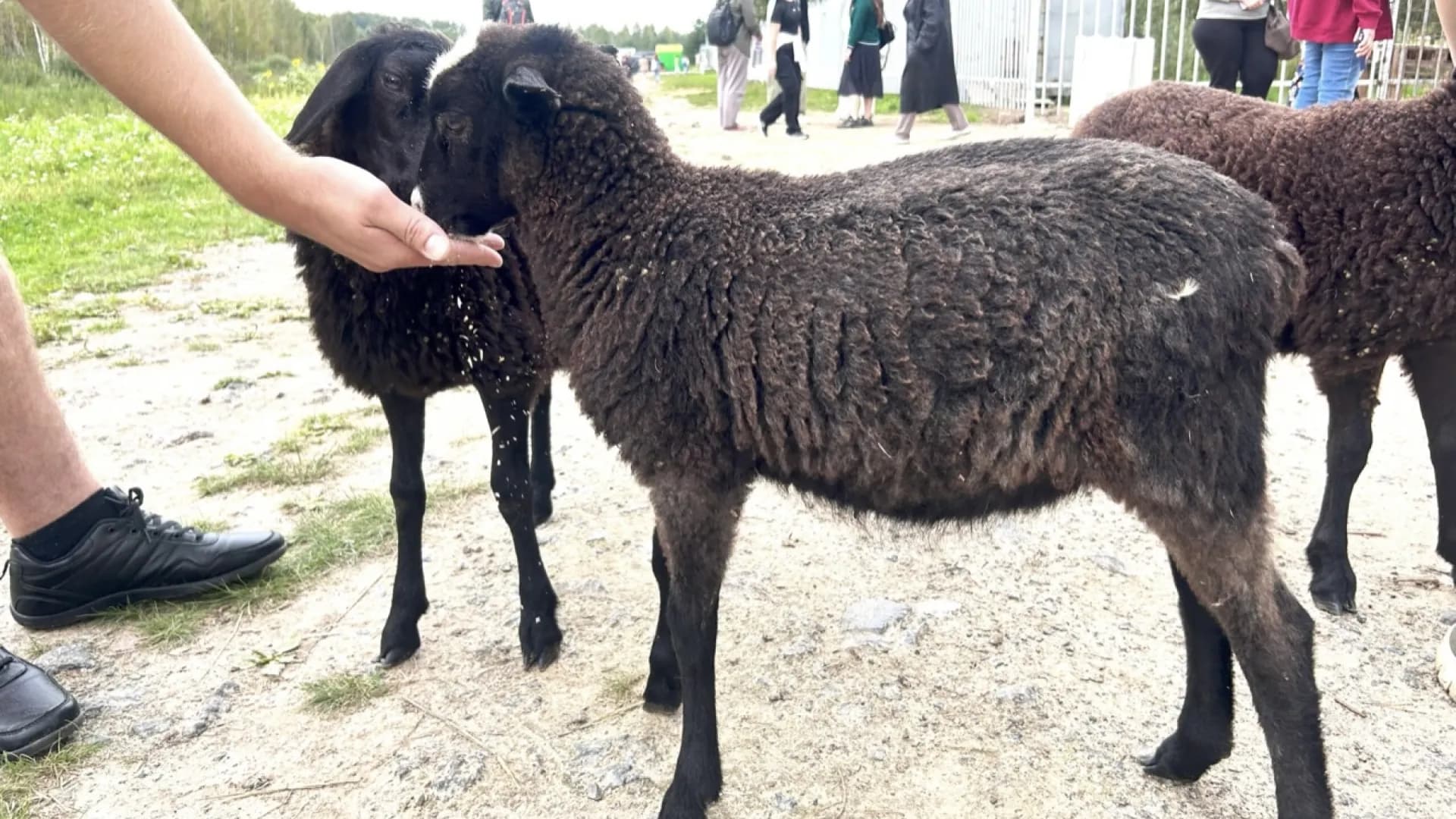 Изображение услуги6