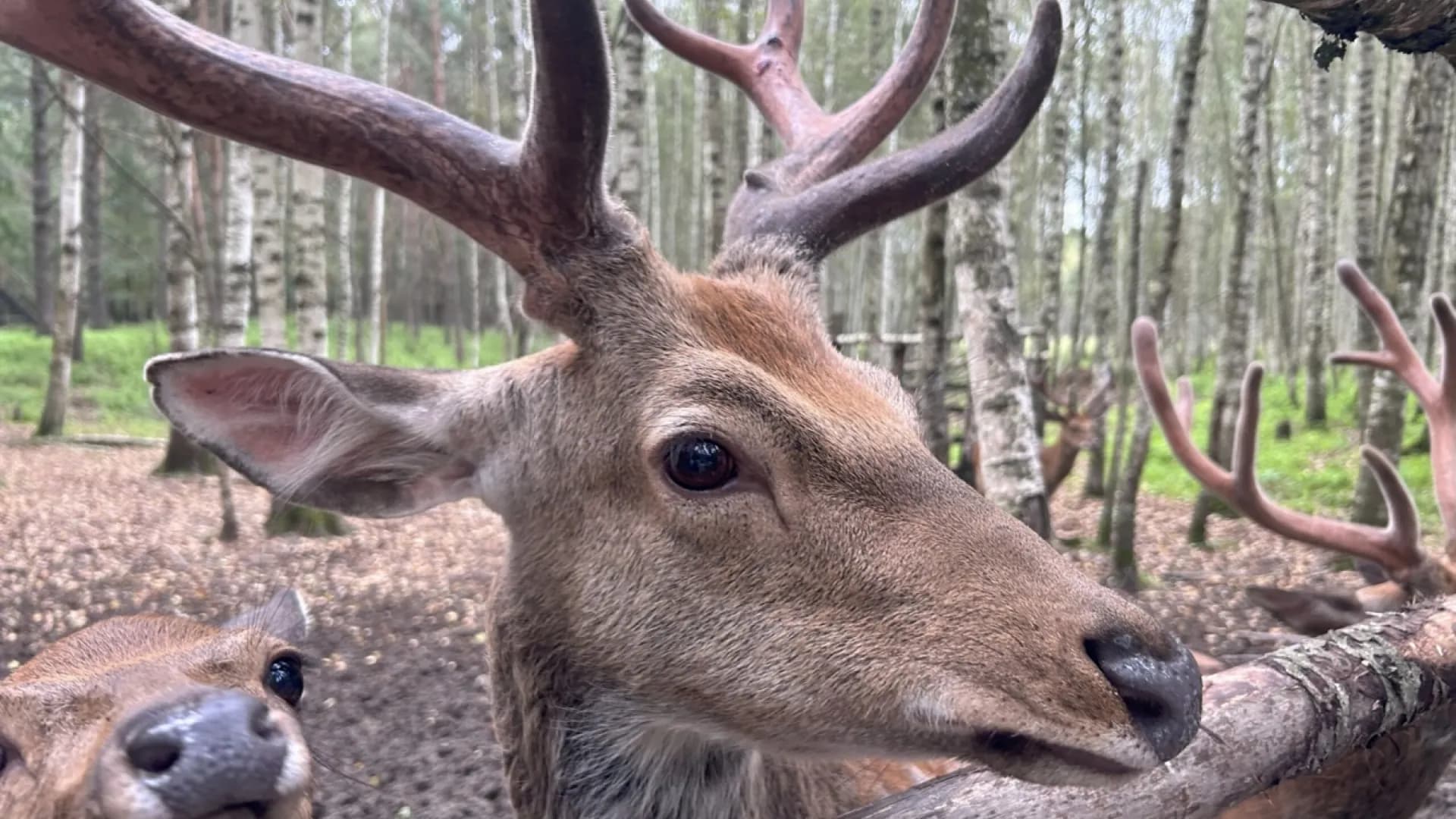 Изображение услуги12