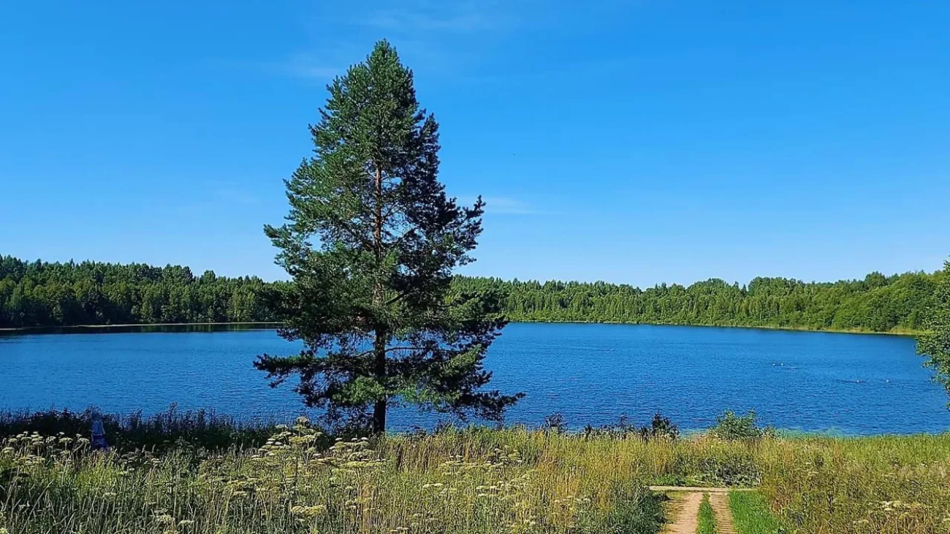 Экскурсия на озеро Светлояр и сырную ферму: град Китеж и сырное искусство