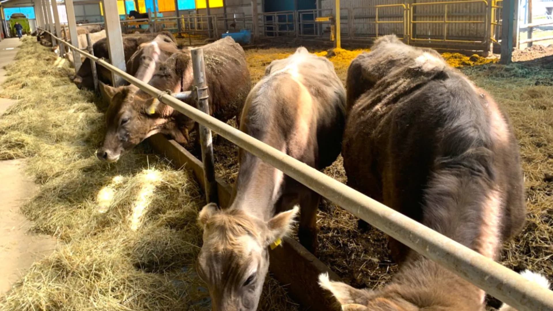 Изображение услуги3