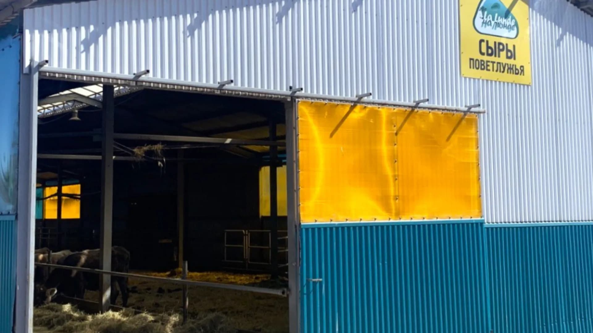 Изображение услуги4