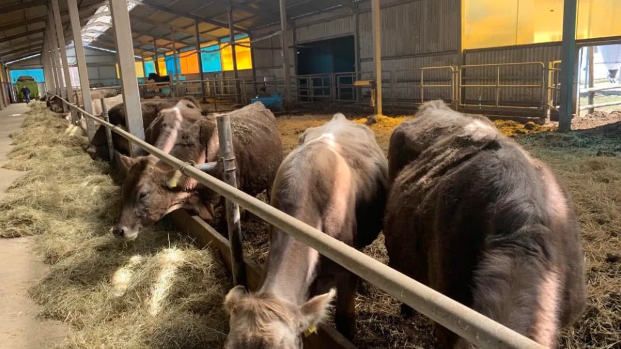 Изображение услуги6