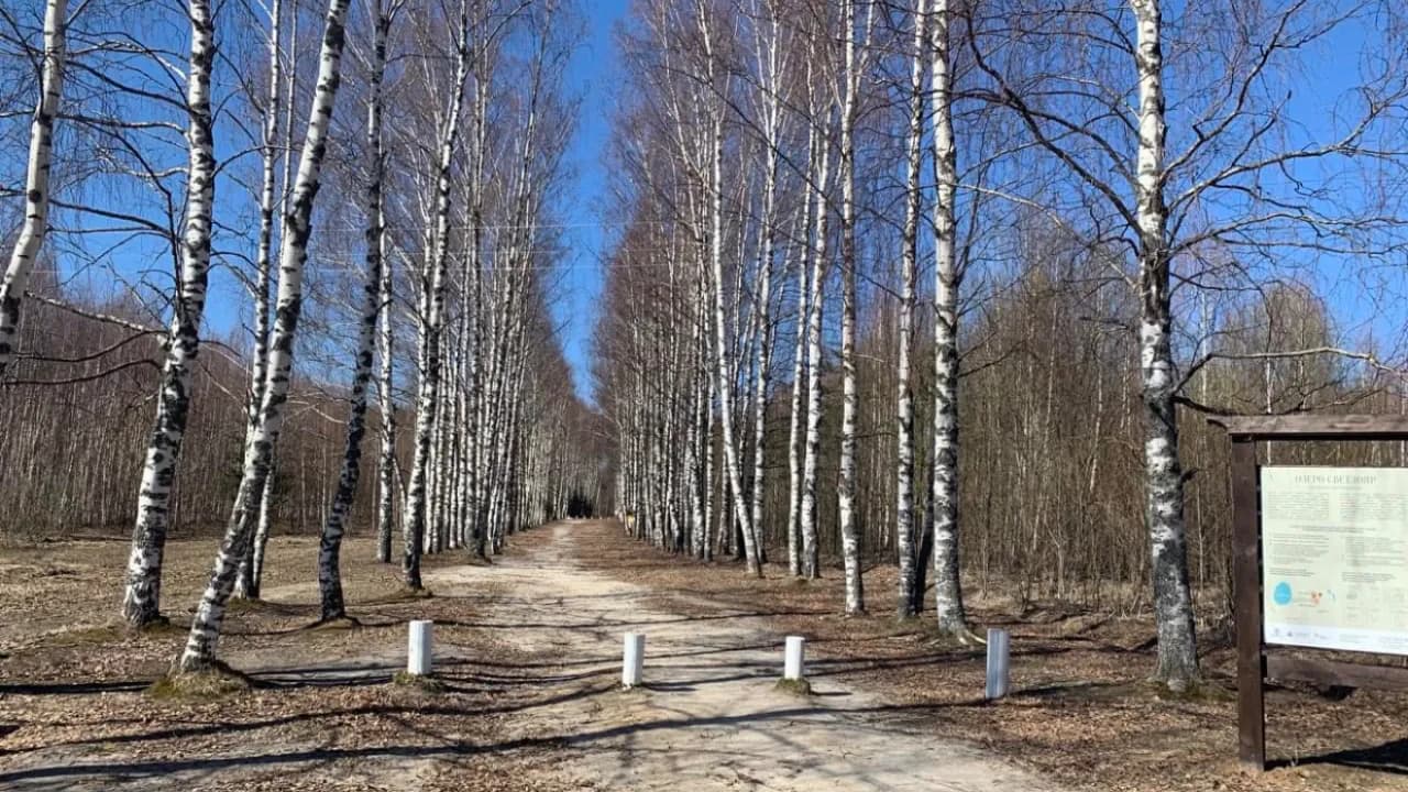 Изображение услуги8