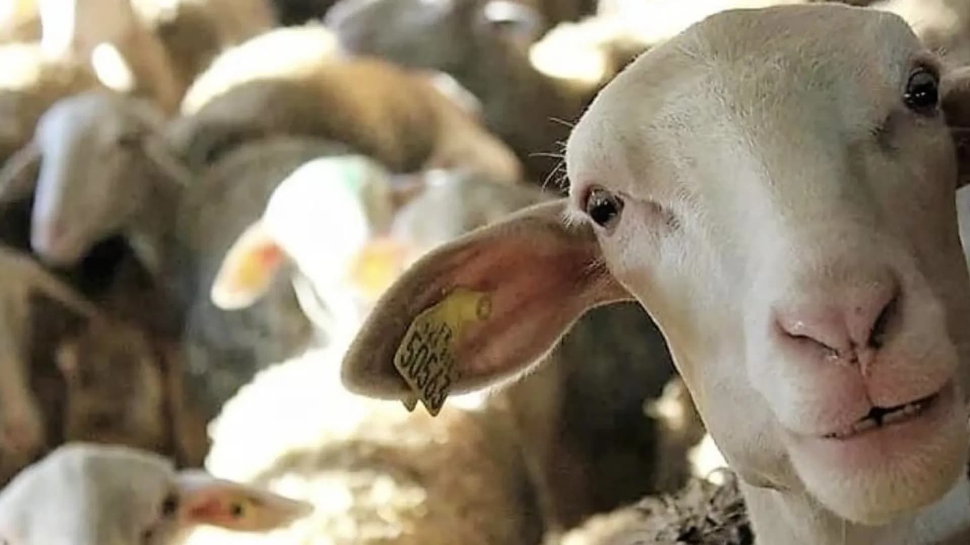 Изображение услуги1