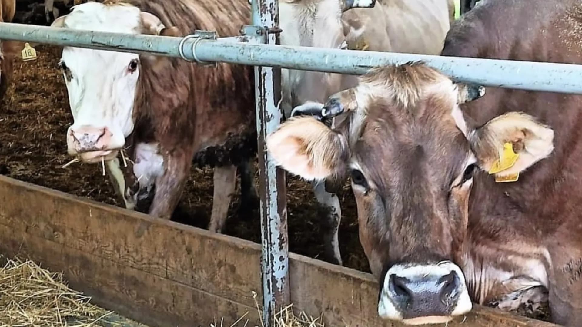 Изображение услуги2