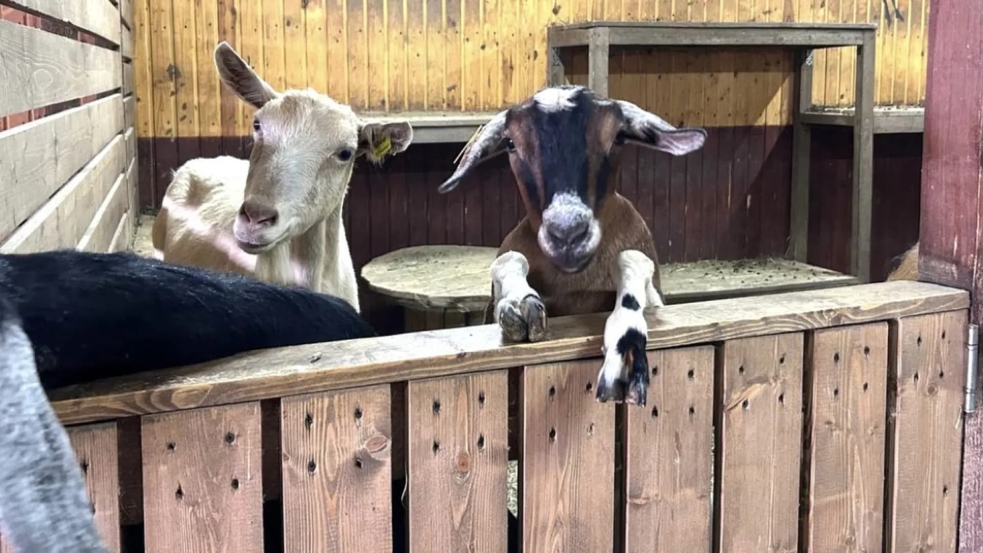 Изображение услуги6