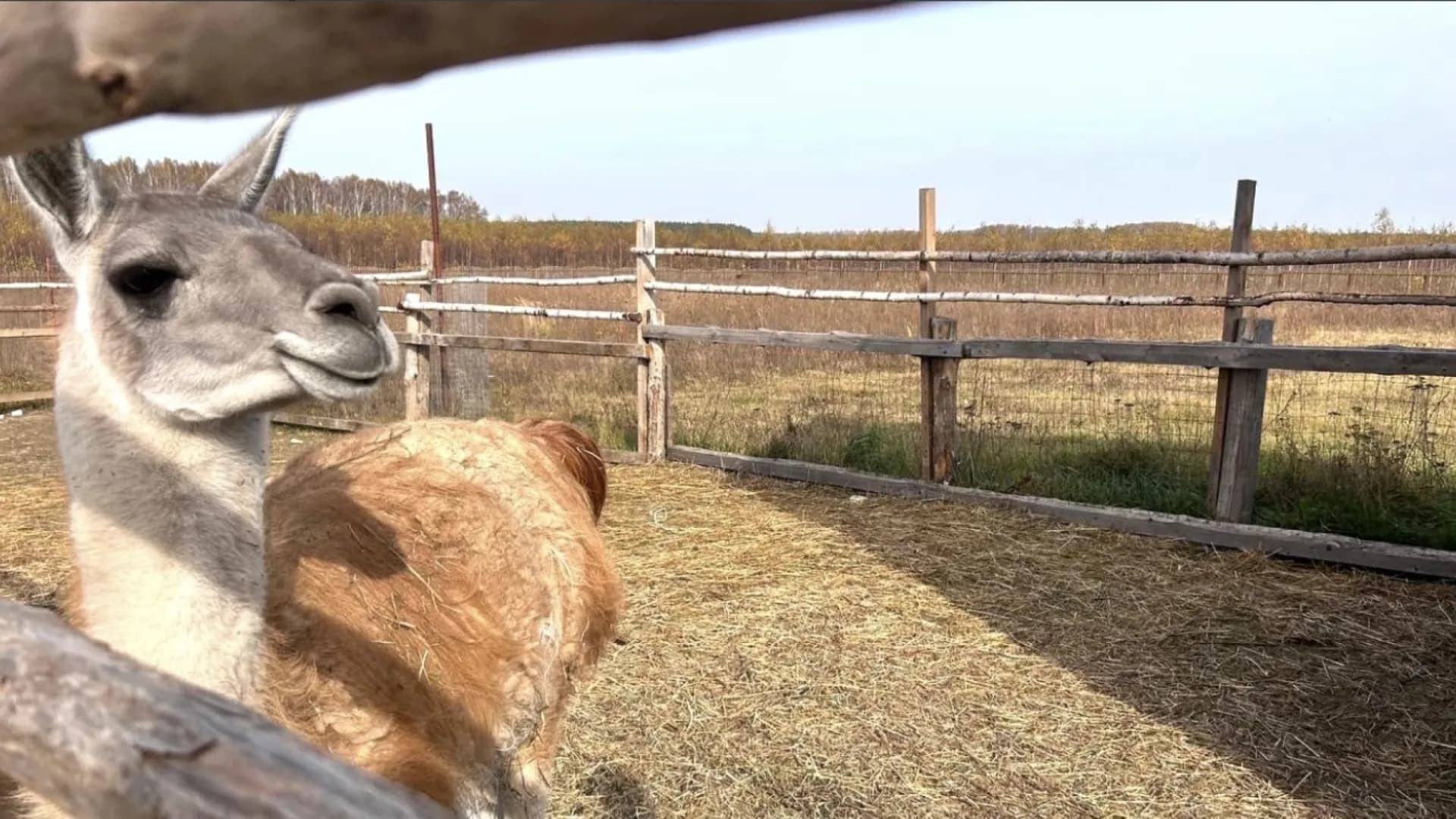 Изображение услуги9