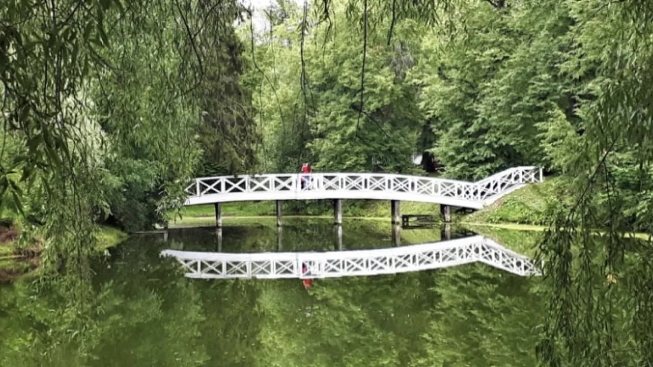 Изображение услуги8