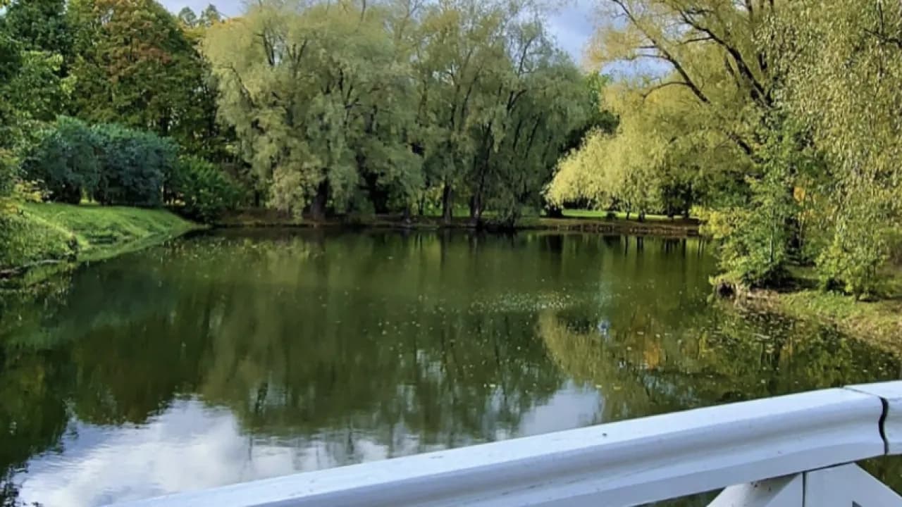 Изображение услуги10