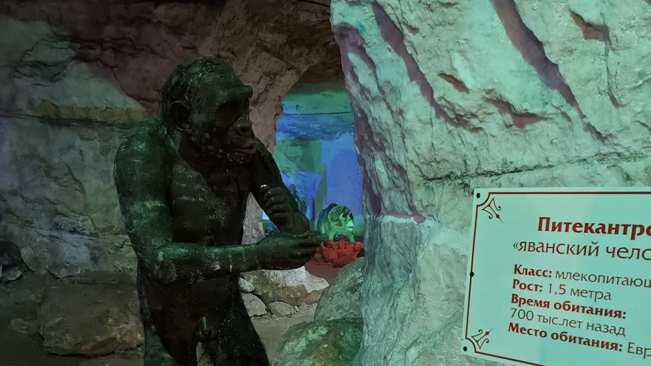 Изображение услуги3