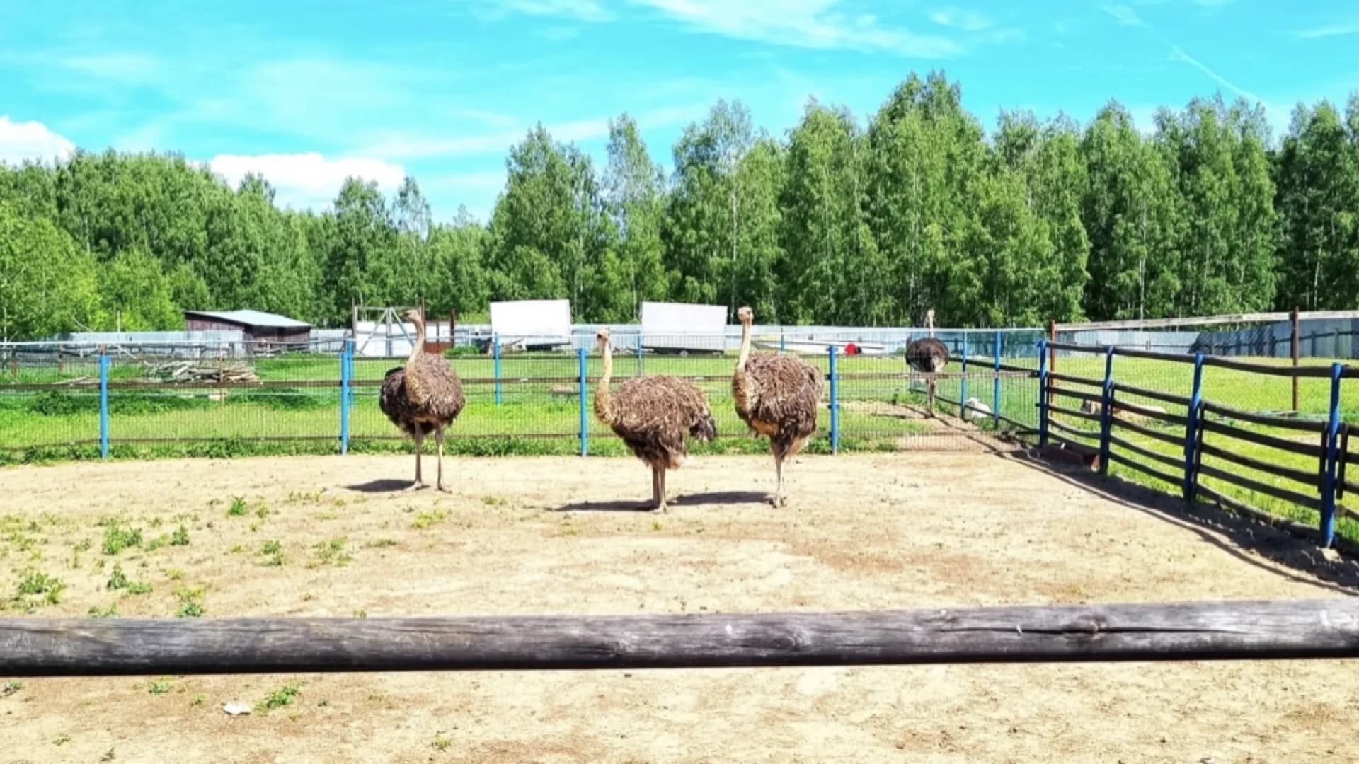 Изображение услуги7