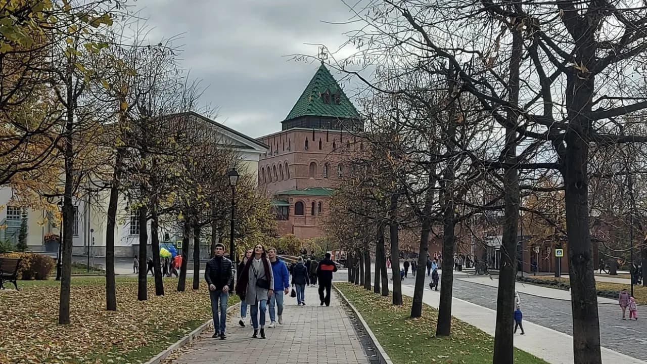 Изображение услуги4