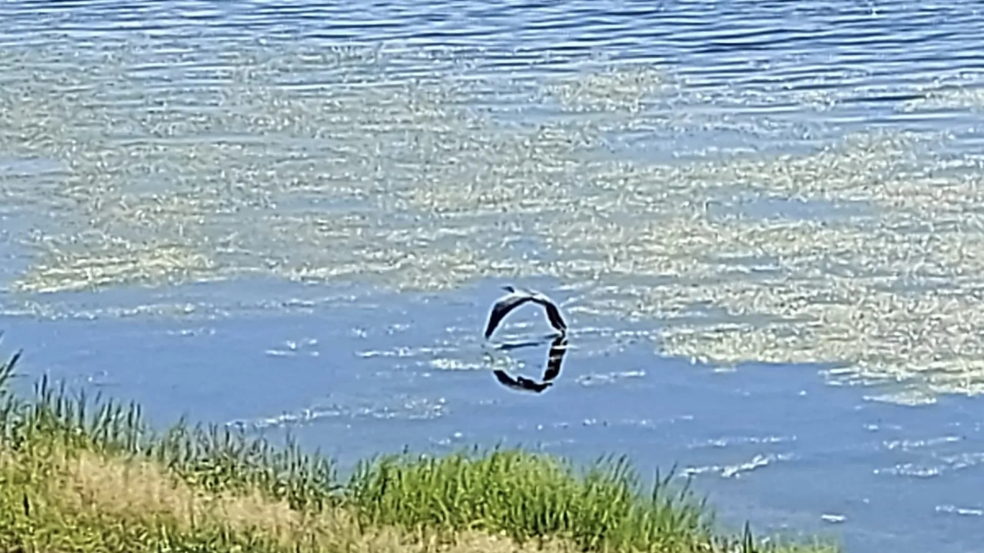 Изображение услуги4