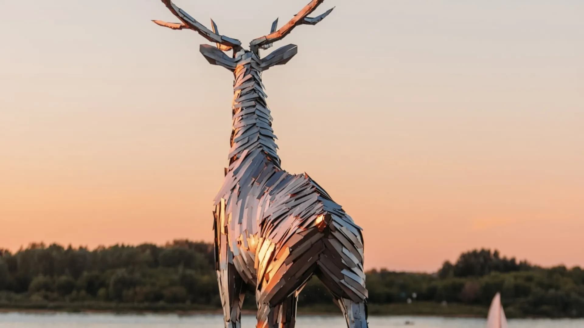 Изображение услуги1