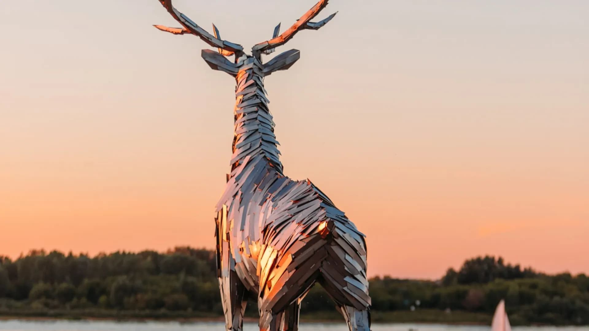 Изображение услуги1