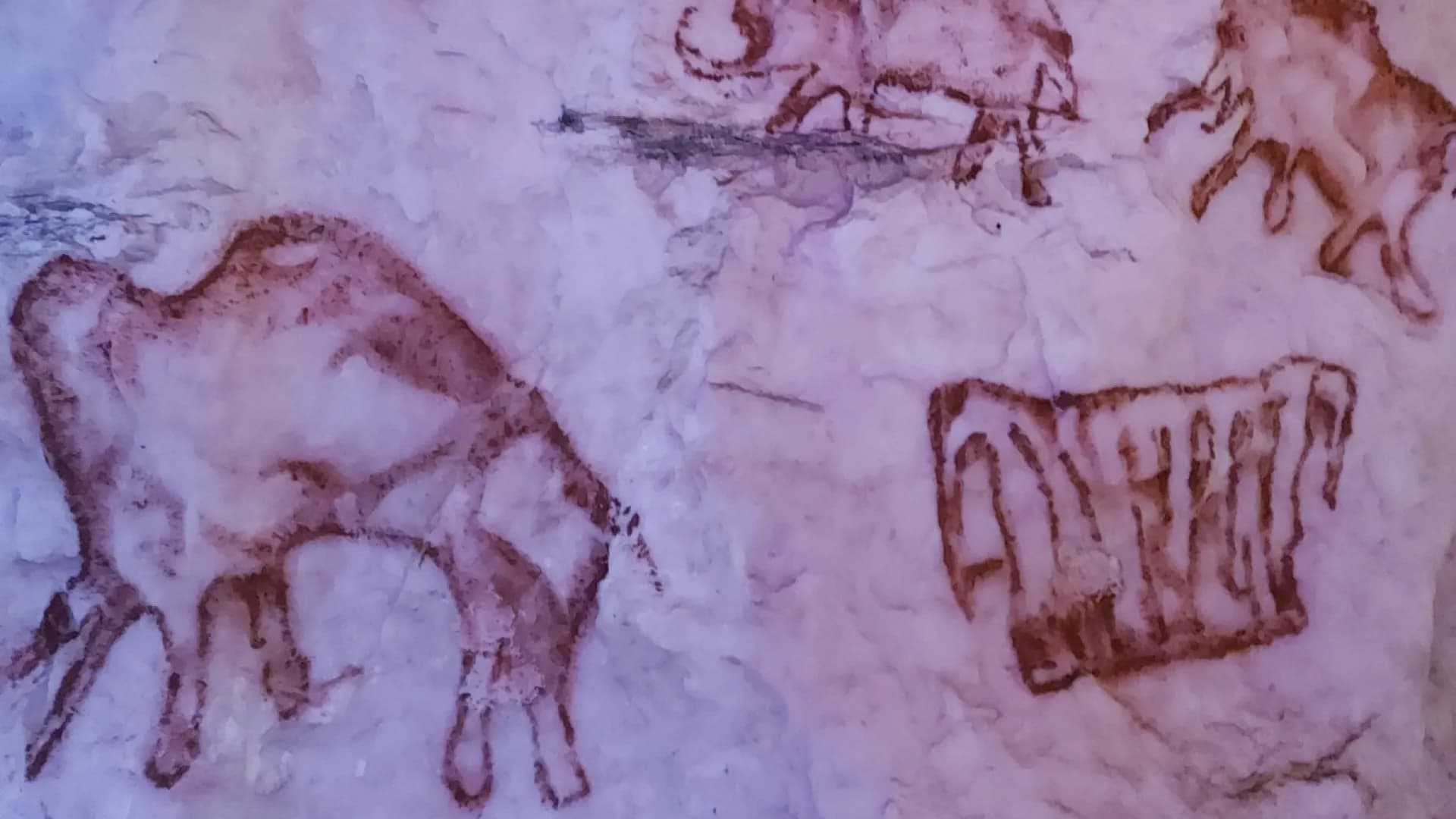 Изображение услуги1