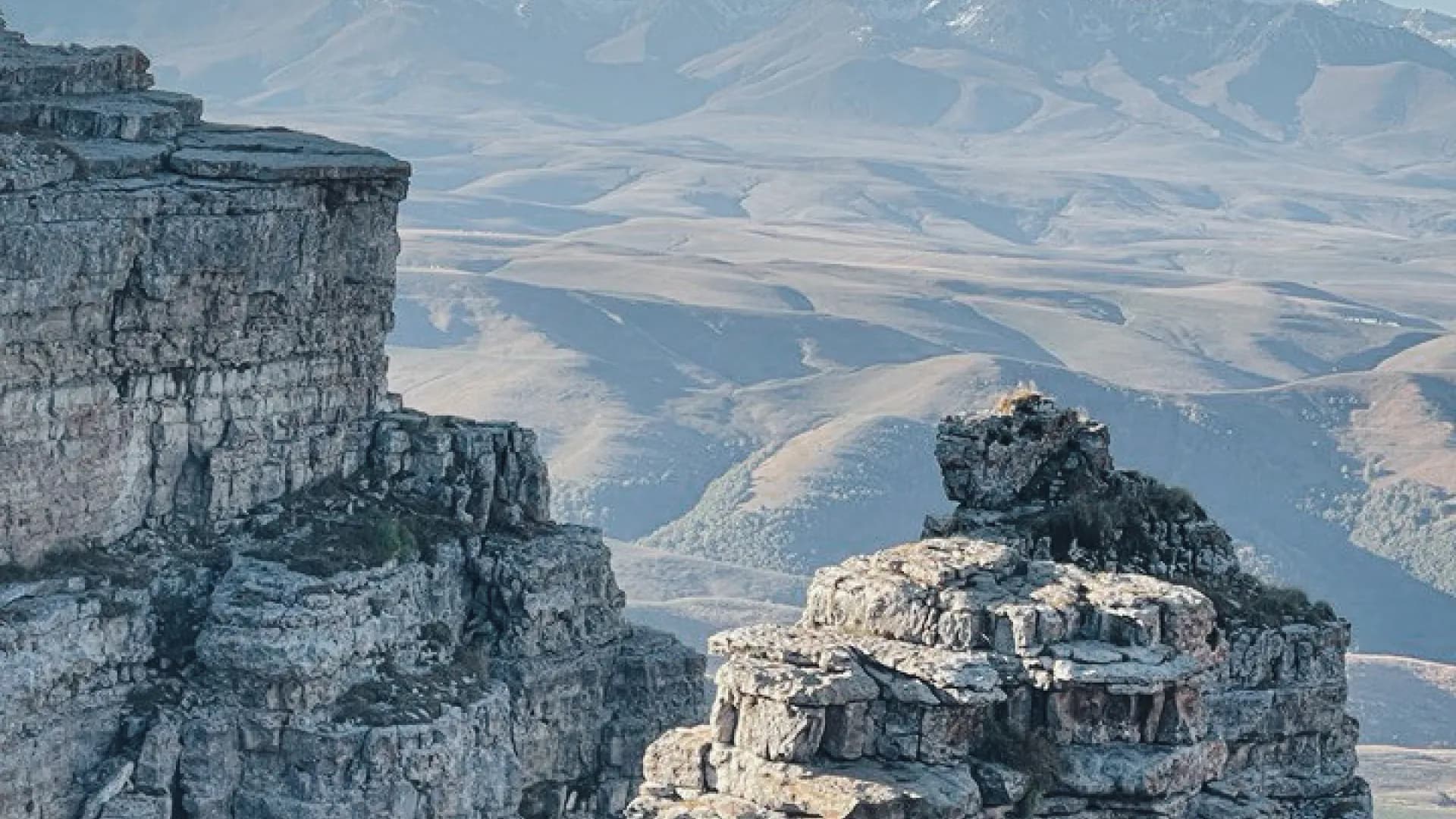 Изображение услуги4