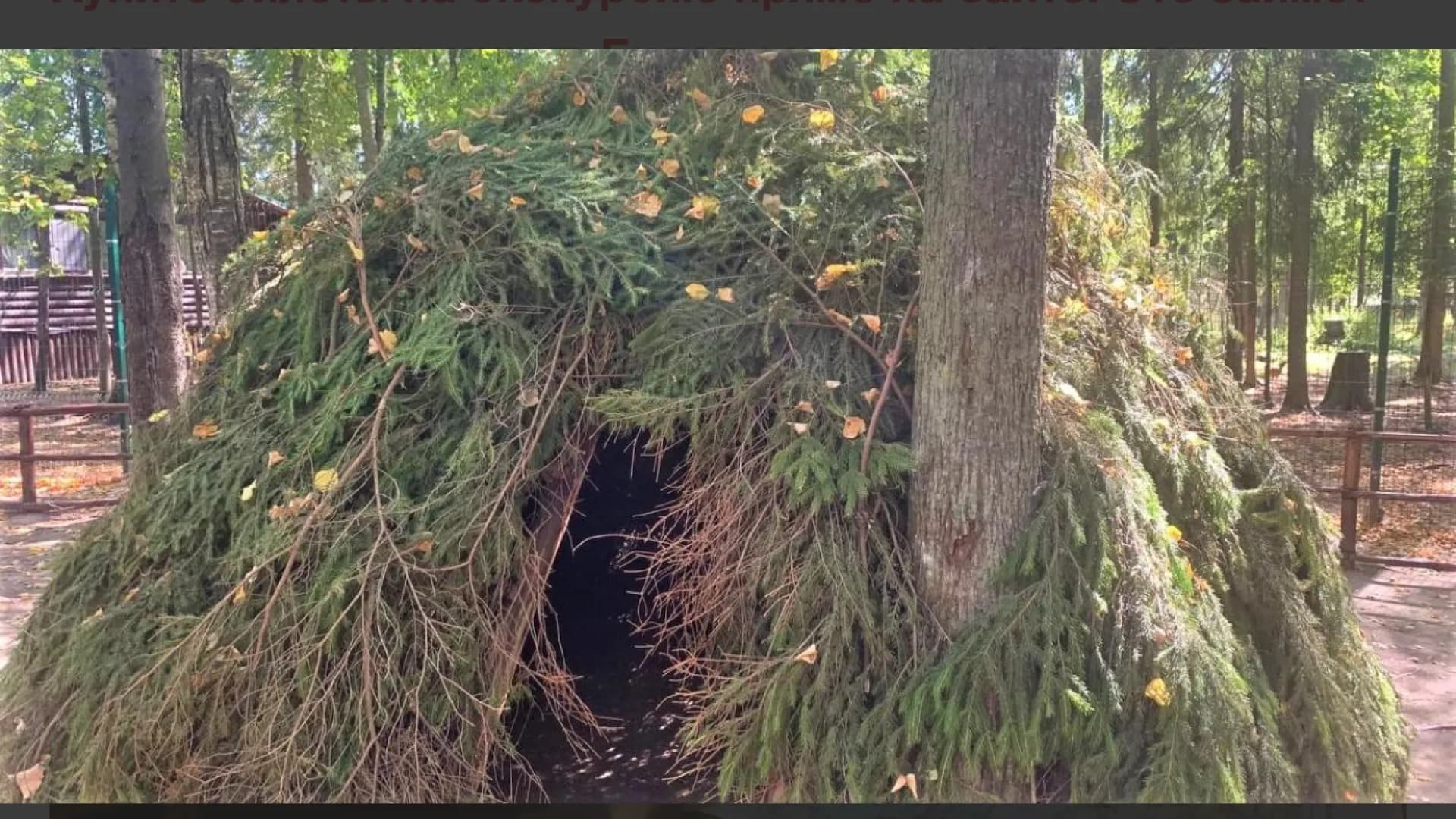 Изображение услуги8