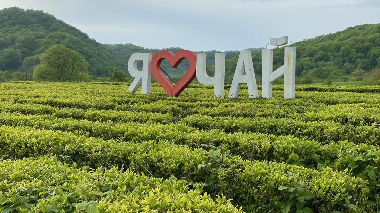Изображение услуги7
