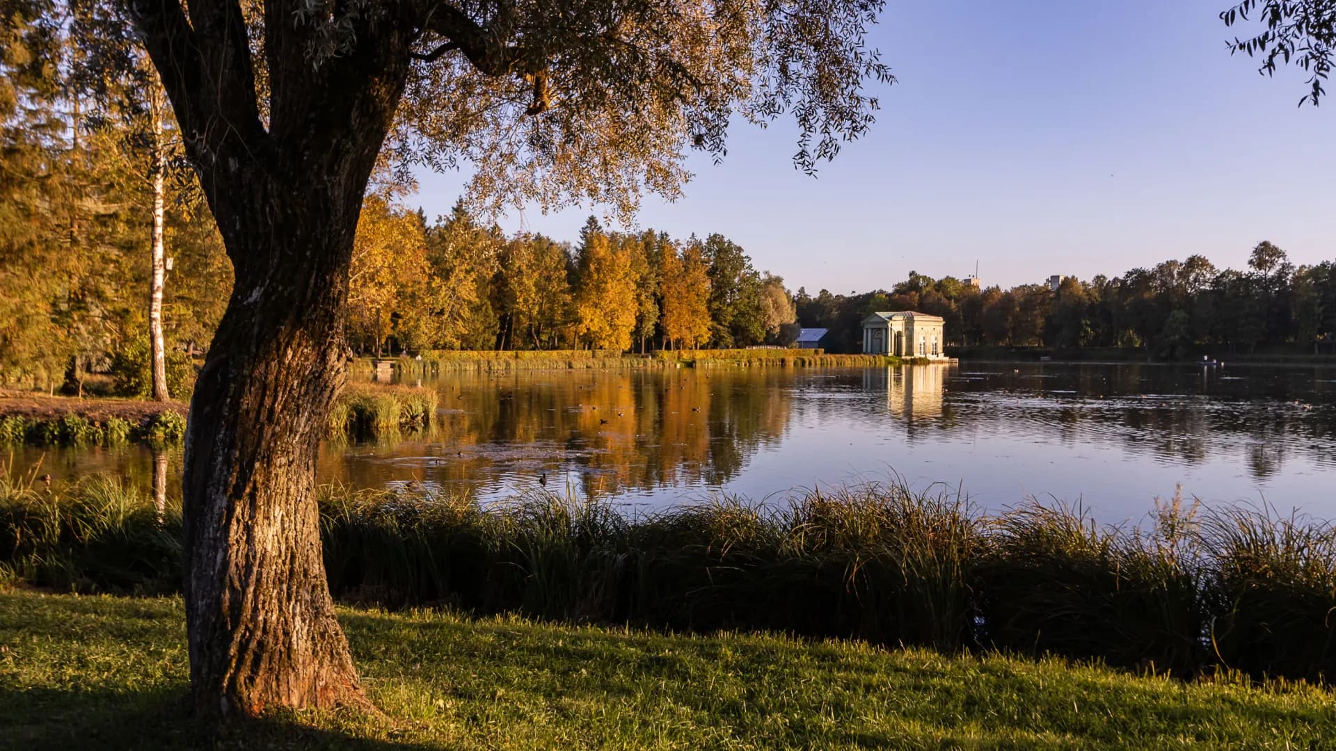 Изображение услуги9