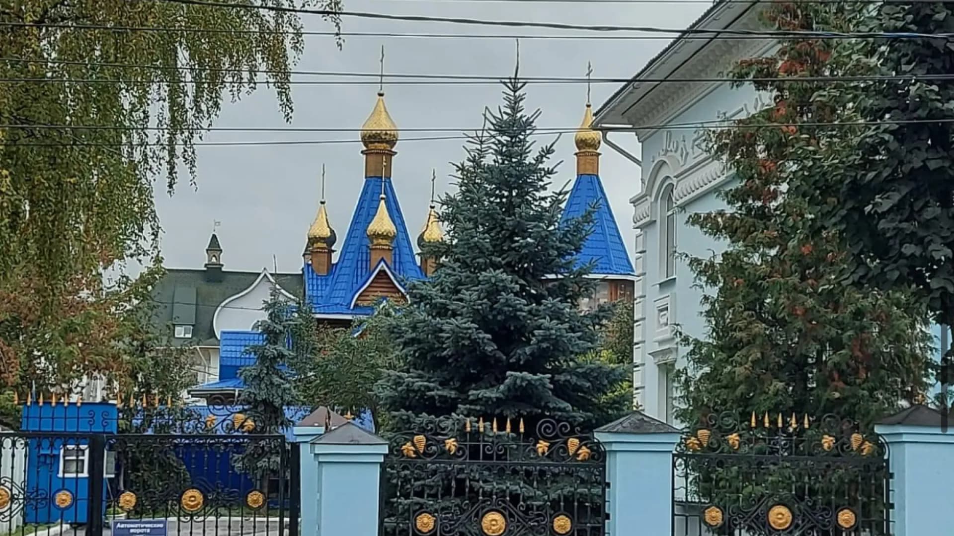 Изображение услуги6