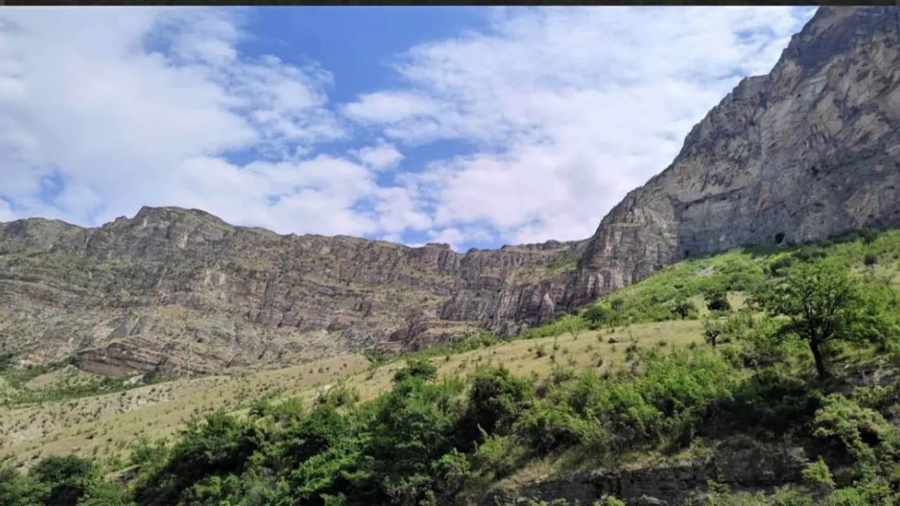 Изображение услуги5