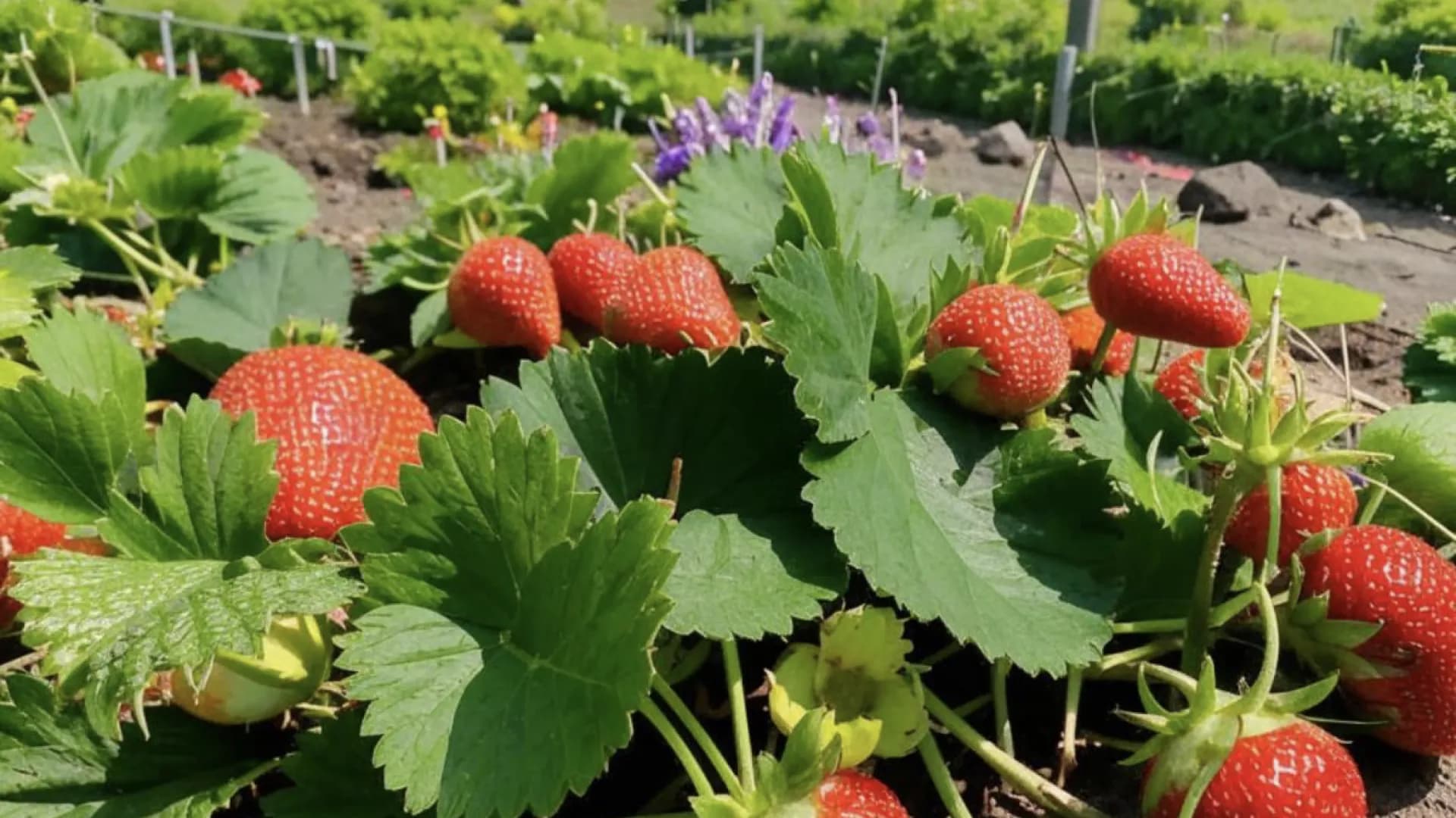 Вкусное путешествие: Волгореченск и Кострома с дегустациями