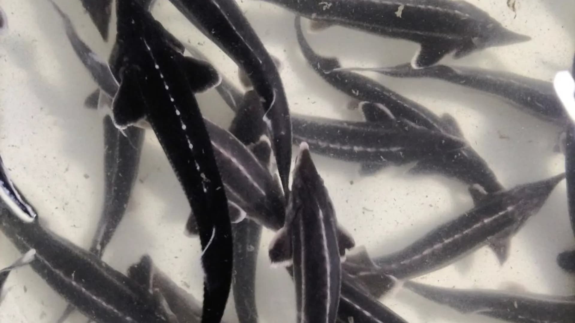 Изображение услуги3