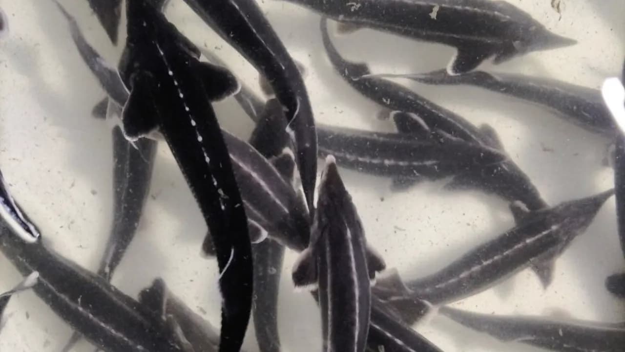 Изображение услуги3